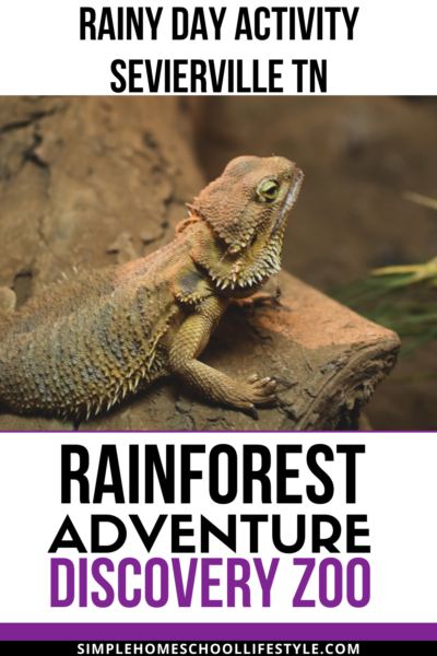 rainforest adventures discovery zoo tennessee sevierville